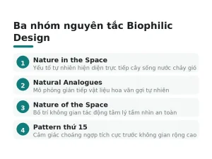 Ba nhóm nguyên tắc Biophilic Design