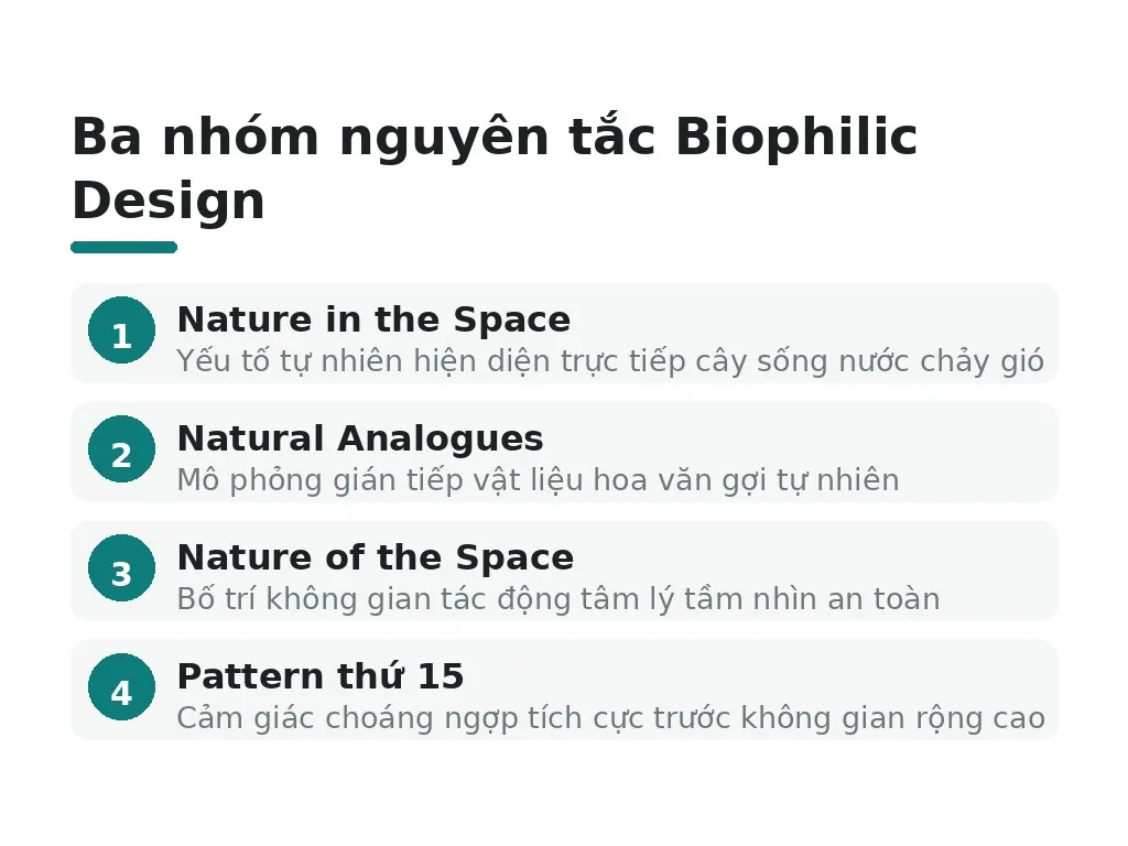 Ba nhóm nguyên tắc Biophilic Design